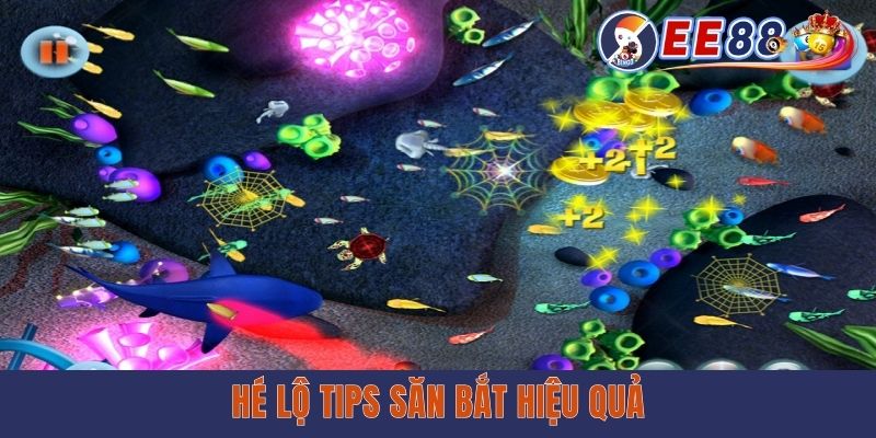 Cách nâng cao kỹ năng trong bắn cá hải vương