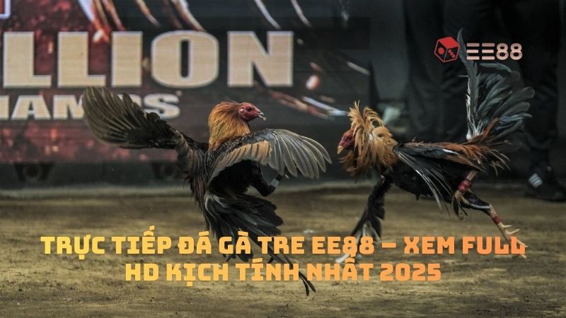 Trực Tiếp Đá Gà Tre EE88 – Xem Full HD Kịch Tính Nhất 2025