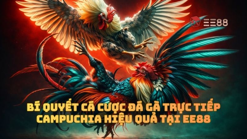 Bí quyết cá cược đá gà trực tiếp Campuchia hiệu quả tại EE88